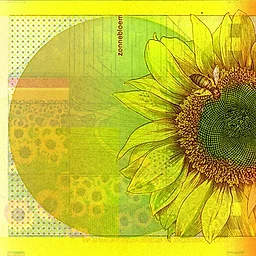 50 Gulden Biljet (1982 Zonnebloem)